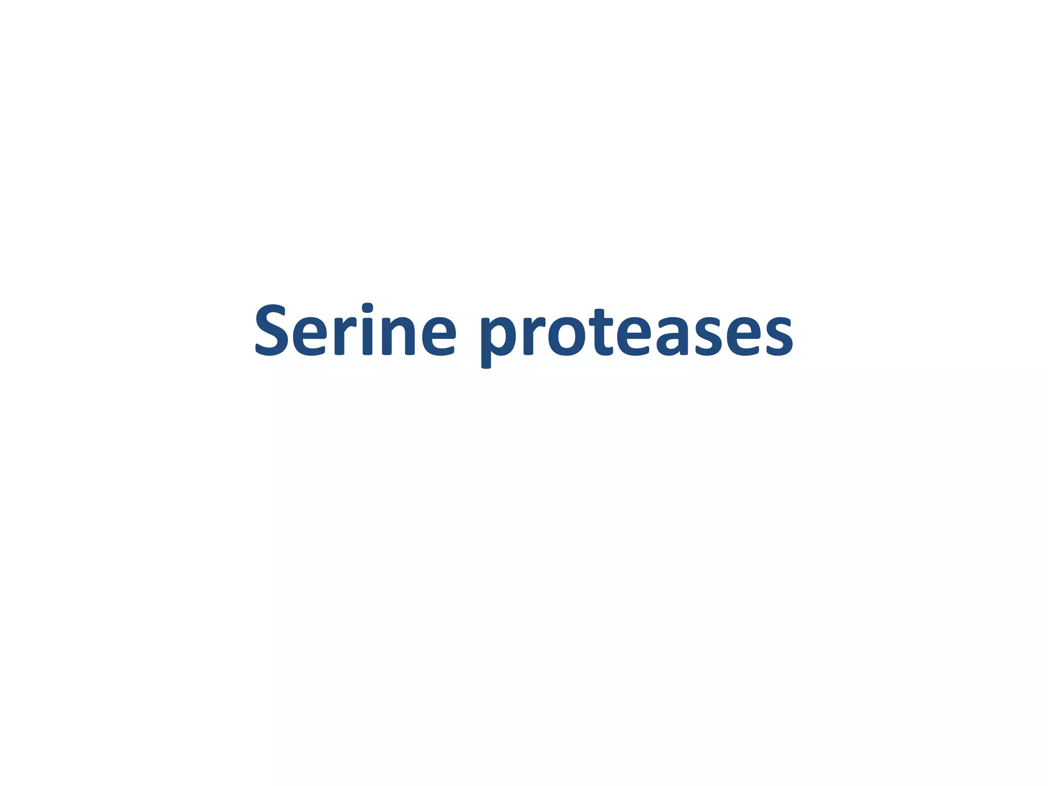 Serine proteases
 