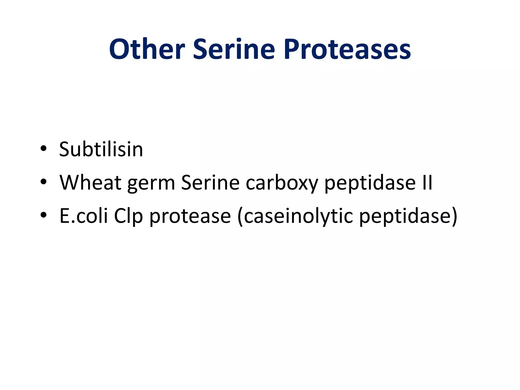 Other Serine Proteases
• Subtilisin
• Wheat germ Serine carboxy peptidase II
• E.coli Clp protease (caseinolytic peptidase)
 