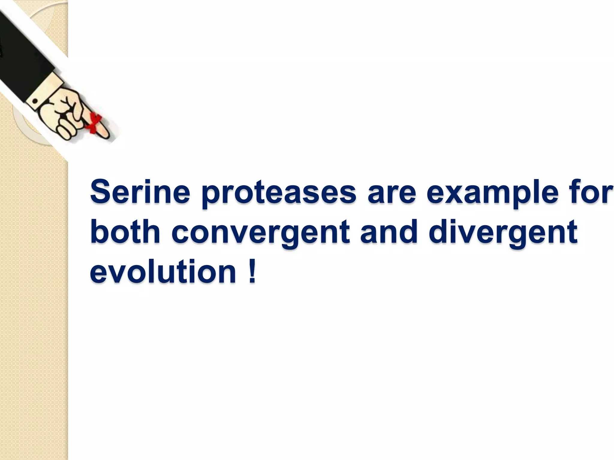 Serine proteases are example for
both convergent and divergent
evolution !
 