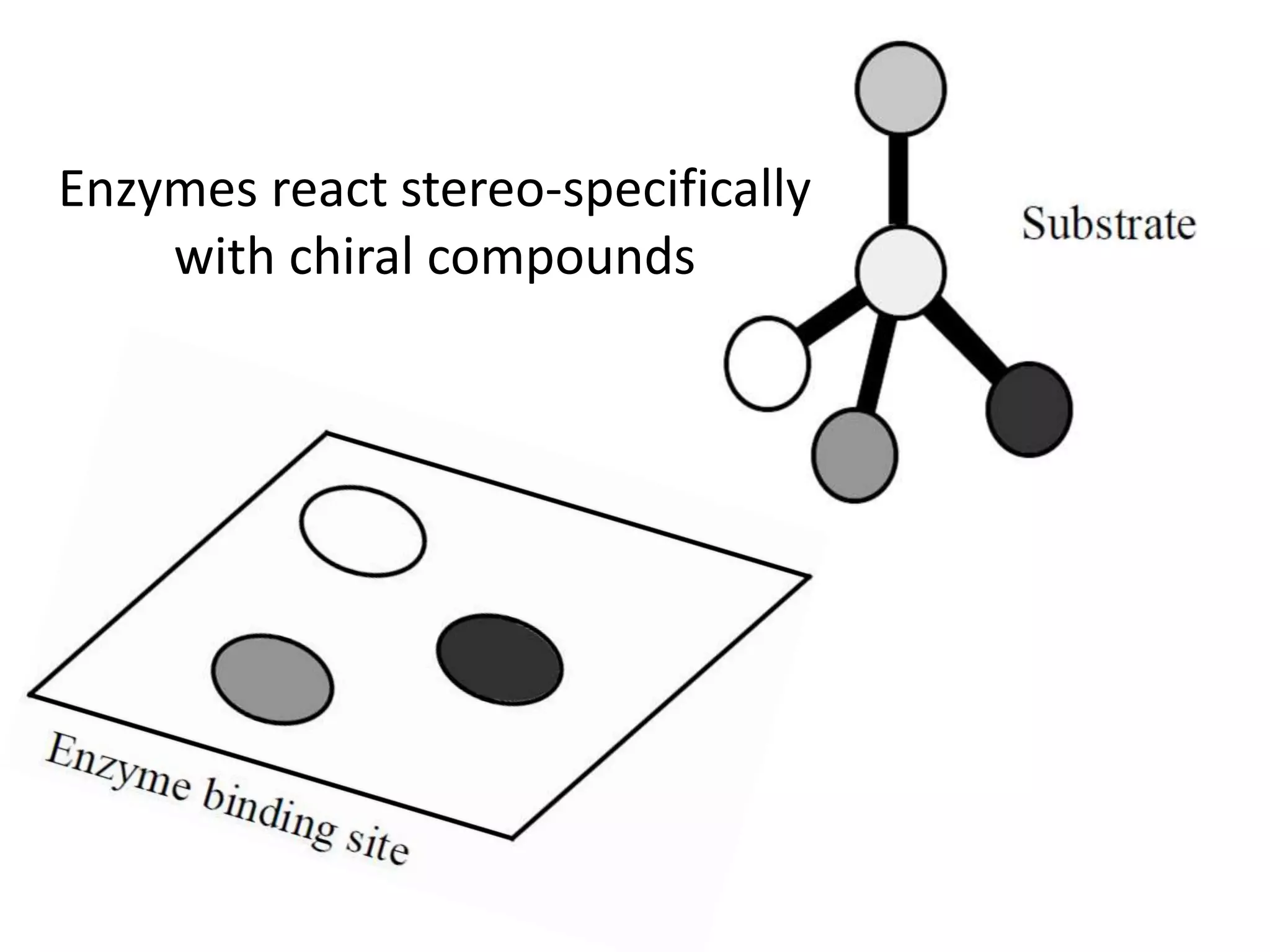 Enzymes react stereo-specifically
with chiral compounds
 