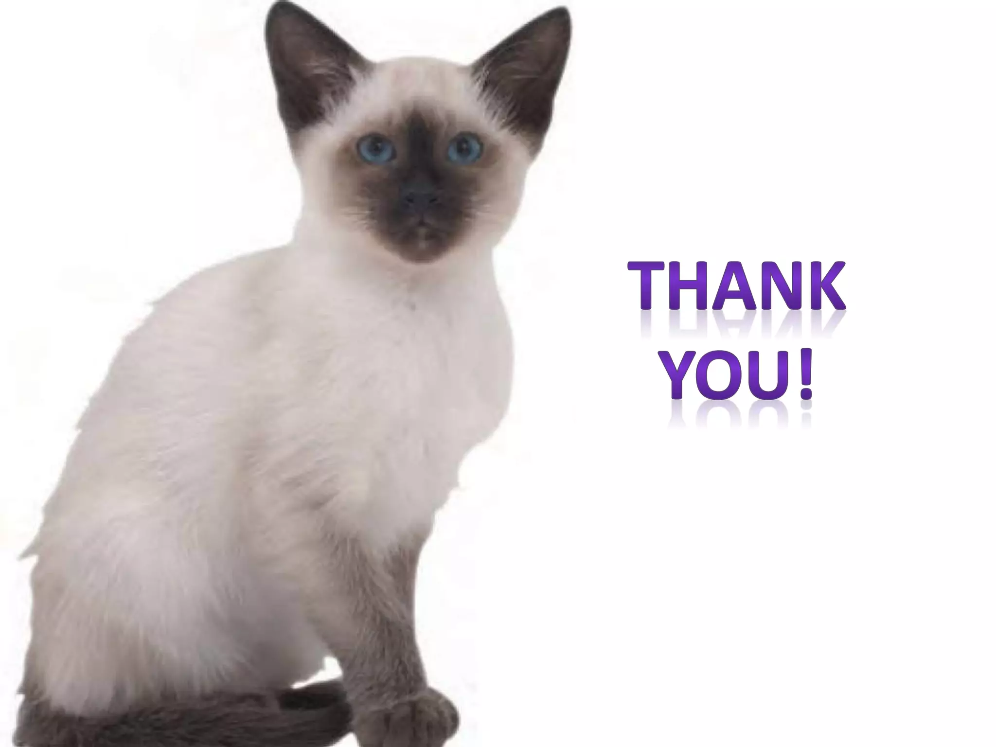 Mechanism of enzyme action