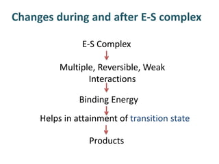 Changes during and after E-S complex
E-S Complex
Multiple, Reversible, Weak
Interactions
Binding Energy
Helps in attainment of transition state
Products
 