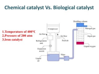 Chemical catalyst Vs. Biological catalyst
1.Temperature of 400°C
2.Pressure of 200 atm
3.Iron catalyst
 