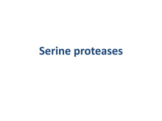 Serine proteases
 