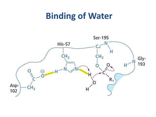 Binding of Water
 