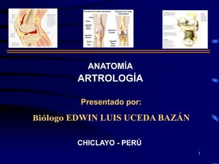 ANATOMÍA
ARTROLOGÍA
Presentado por:
Biólogo EDWIN LUIS UCEDA BAZÁN
CHICLAYO - PERÚ
1
 
