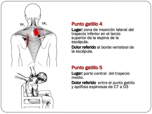 A que enfermedades duele la parte inferior de los riñones