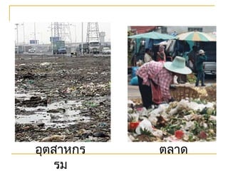 อุตสำหกร
รม
ตลำด
 