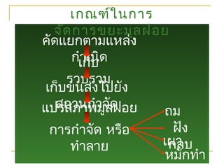 เกณฑ์ในการ
จัดการขยะมูลฝอย
คัดแยกตามแหล่ง
กำาเนิดเก็บ
รวบรวม
เก็บขนส่งไปยัง
สถานกำาจัดแปรสภาพมูลฝอย
การกำาจัด หรือ
ทำาลาย
ถม
ฝัง
กลบ
หมักทำา
เผา
 