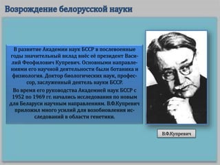 В развитие Академии наук БССР в послевоенные
годы значительный вклад внёс её президент Васи-
лий Феофилович Купревич. Основными направле-
ниями его научной деятельности были ботаника и
физиология. Доктор биологических наук, профес-
сор, заслуженный деятель науки БССР.
Во время его руководства Академией наук БССР с
1952 по 1969 гг. начались исследования по новым
для Беларуси научным направлениям. В.Ф.Купревич
приложил много усилий для возобновления ис-
следований в области генетики.
В.Ф.Купревич
 