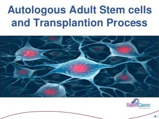 ‹#›
Autologous Adult Stem cells
and Transplantion Process
 