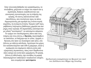 Στην τελευταία βαθμίδα του κρηπιδώματος, το
στυλοβάτη, χτίζονταν οι τοίχοι του σηκού και η
περίσταση. Κάποτε τοποθετούνταν και
εσωτερικές κιονοστοιχίες για τη στήριξη της
οροφής. Οι κίονες αποτελούνταν από
σπονδύλους, που συνέκλιναν προς τα πάνω
δημιουργώντας μία αμυδρά έως έντονα κυρτή
καμπύλη, τη λεγόμενη ένταση. Έφεραν καθ' ύψος
ραβδώσεις λαξευμένες βαθύτερες χαμηλά και πιο
ρηχές στην κορυφή. Οι παραστάδες επιστέφονταν
με ειδικά "κιονόκρανα", τα καλούμενα επίκρανα.
Το τμήμα του οικοδομήματος πάνω από τους
τοίχους και τους κίονες, ο θριγκός, περιελάμβανε
το επιστύλιο, το διάζωμα και το γείσο. Αρχικά, ο
θριγκός είτε ήταν εξ' ολοκλήρου από ξύλο, είτε
ξύλινος με πήλινη επένδυση. Αργότερα ένα μέρος
του κατασκευαζόταν από λίθο ή μάρμαρο, αλλά η
κεράμωση του παρέμεινε πήλινη εκτός από
εξαιρετικές περιπτώσεις, όπως στον Παρθενώνα
όπου ακόμα και αυτή ήταν μαρμάρινη. Η οροφή,
ξύλινη ή λιθόγλυπτη, είχε συνήθως τη μορφή
διακοσμημένων επάλληλων τετράγωνων εσοχών,
που ονομάζονταν φατνώματα
Σχεδιαστική αναπαράσταση του θριγκού του ναού
του Απόλλωνα στον Θέρμο της Αιτωλίας.
 