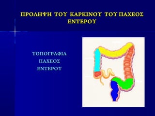 ΠΡΟΛΗΨΗ ΤΟΥΠΡΟΛΗΨΗ ΤΟΥ ΚΑΡΚΙΝΟΥ ΤΟΥ ΠΑΧΕΟΣΚΑΡΚΙΝΟΥ ΤΟΥ ΠΑΧΕΟΣ
ΕΝΤΕΡΟΥΕΝΤΕΡΟΥ
ΤΟΠΟΓΡΑΦΙΑΤΟΠΟΓΡΑΦΙΑ
ΠΑΧΕΟΣΠΑΧΕΟΣ
ΕΝΤΕΡΟΥΕΝΤΕΡΟΥ
 