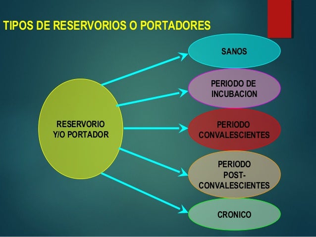 cadena epidemiologica tetanos 04 1 dr a 241 a 241 os epidemiologia de enfermedades transmisibles 1 cadena epidemiologica tetanos 04 1 dr a 241 a 241 os epidemiologia de enfermedades transmisibles 1