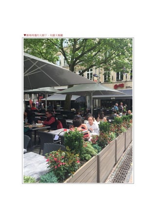▼廣場周邊的大樹下，有露天餐廳
 