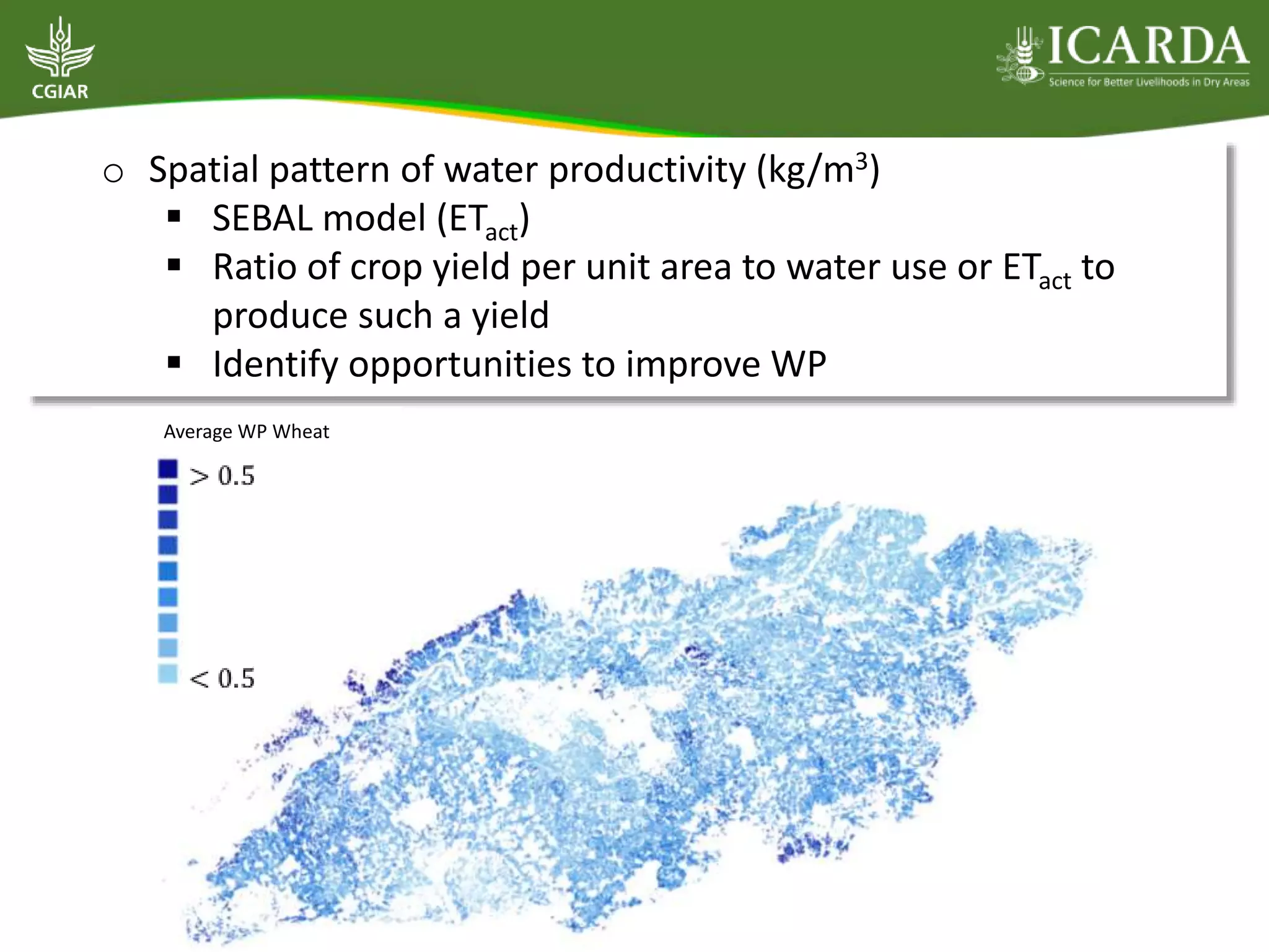 o Spatial pattern of water productivity (kg/m3)
 SEBAL model (ETact)
 Ratio of crop yield per unit area to water use or ETact to
produce such a yield
 Identify opportunities to improve WP
Average WP Wheat
 