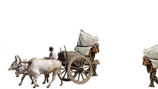 Q: Would you buy
Hair Tonic from him ?
Q: Would you buy Weight
Lost Pills from him ?
 