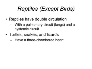 Reptiles (Except Birds)Reptiles have double circulationWith a pulmonary circuit (lungs) and a systemic circuitTurtles, snakes, and lizardsHave a three-chambered heart.  