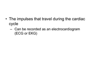 The impulses that travel during the cardiac cycleCan be recorded as an electrocardiogram (ECG or EKG)