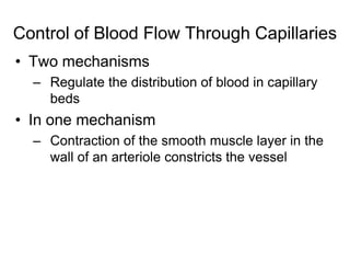 Control of Blood Flow Through CapillariesTwo mechanismsRegulate the distribution of blood in capillary bedsIn one mechanismContraction of the smooth muscle layer in the wall of an arteriole constricts the vessel
