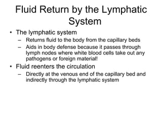 Fluid Return by the Lymphatic SystemThe lymphatic systemReturns fluid to the body from the capillary bedsAids in body defense because it passes through lymph nodes where white blood cells take out any pathogens or foreign material!Fluid reenters the circulationDirectly at the venous end of the capillary bed and indirectly through the lymphatic system