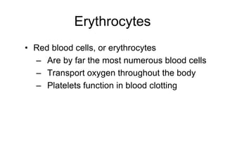 ErythrocytesRed blood cells, or erythrocytesAre by far the most numerous blood cellsTransport oxygen throughout the bodyPlatelets function in blood clotting