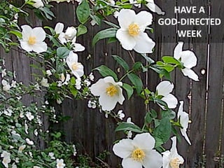 HAVE A
GOD-DIRECTED
WEEK
 