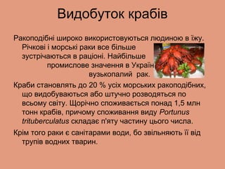 Святий миколай в україні якого числа