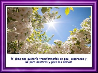 ¡Y cómo nos gustaría transformarlos en paz, esperanza y
luz para nosotros y para los demás!
 
