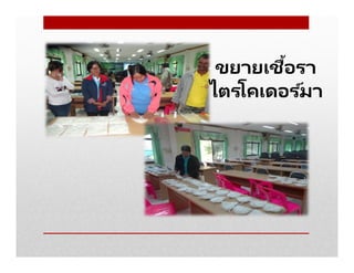 ขยายเชือรา
ไตรโคเดอร ์มา
 