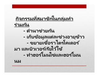 กิจกรรมทีสมาชิกในกลุ่มทํา
ร่วมกัน
- ดํานาช่วยกัน
- เก็บข้อมูลแต่ละช่วงอายุข้าว
- ขยายเชือราไตรโคเดอร ์
มา และบิวเวอร ์เรียไว้ใช้
- ทําฮอร ์โมนไข่และฮอร ์โมน
นม
 