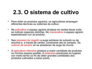 2.3. O sistema de cultivo
• Para obter os produtos agrarios, os agricultores empregan
diferentes técnicas ou sistemas de cultivo:
• No policultivo o espazo agrario divídese en moitas leiras onde
se cultivan especies distintas. No monocultivo o espazo agrario
especialízase nun só produto.
• Nas paisaxes de regadío a auga extráese do subsolo ou de
encoros e, a través de canles, condúcese ata os campos. Os
cultivos de secaño só se abastecen da auga da chuvia.
• A agricultura intensiva produce a maior cantidade de produtos
no mínimo espazo posible. A extensiva practícase en lugares
con moito terreo co fin de obter grandes cantidades dos
produtos cultivados a baixo prezo.
 