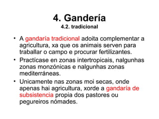 4. Gandería
4.2. tradicional
• A gandaría tradicional adoita complementar a
agricultura, xa que os animais serven para
traballar o campo e procurar fertilizantes.
• Practícase en zonas intertropicais, nalgunhas
zonas monzónicas e nalgunhas zonas
mediterráneas.
• Unicamente nas zonas moi secas, onde
apenas hai agricultura, xorde a gandaría de
subsistencia propia dos pastores ou
pegureiros nómades.
 