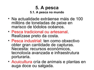 5. A pesca
5.1. A pesca no mundo
• Na actualidade extráense máis de 100
millóns de toneladas de peixe en
marisco de tódolos océanos.
• Pesca tradicional ou artesanal.
Realízase preto da costa.
• Pesca industrial: ten como obxectivo
obter gran cantidade de capturas.
Necesita: recursos económicos,
tecnoloxía avanzada e infraestrutura
porturaria.
• Acuicultura cría de animais e plantas en
auga doce ou salgada.
 