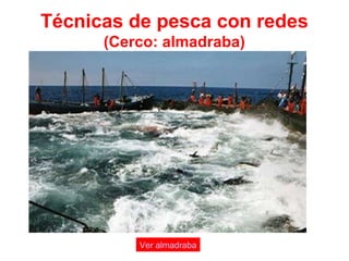 Técnicas de pesca con redes
(Cerco: almadraba)
Ver almadraba
 