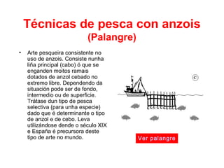 Técnicas de pesca con anzois
(Palangre)
• Arte pesqueira consistente no
uso de anzois. Consiste nunha
liña principal (cabo) ó que se
enganden moitos ramais
dotados de anzol cebado no
extremo libre. Dependendo da
situación pode ser de fondo,
intermedio ou de superficie.
Trátase dun tipo de pesca
selectiva (para unha especie)
dado que é determinante o tipo
de anzol e de cebo. Leva
utilizándose dende o século XIX
e España é precursora deste
tipo de arte no mundo. Ver palangre
 