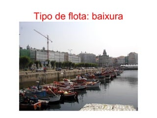 Tipo de flota: baixura
 