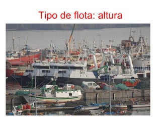 Tipo de flota: altura
 