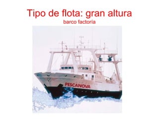 Tipo de flota: gran altura
barco factoría
 