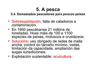 5. A pesca
5.4. Demasiados pescadores para poucos peixes
• Sobreexplotación, falta de caladoiros e
contaminación.
• En 1950 pescábanse 21 millóns de
toneladas. Hoxe máis de 100 e 1100
especies de peixes, moluscos e crustáceos.
• Solucións: uso obrigado de redes de malla
ancha, control do tamaño mínimo, vedas,
limitación da capacidade, ampliación das
augas xurisdicionais.
• Explotación sustentable: acuicultura.
 