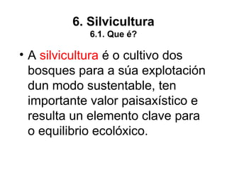6. Silvicultura
6.1. Que é?
• A silvicultura é o cultivo dos
bosques para a súa explotación
dun modo sustentable, ten
importante valor paisaxístico e
resulta un elemento clave para
o equilibrio ecolóxico.
 