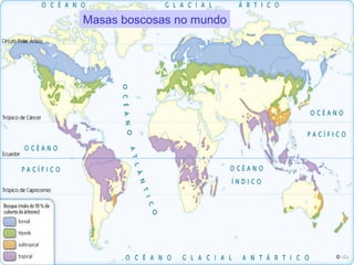 Masas boscosas no mundo
 