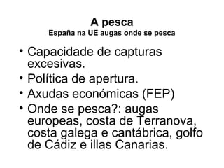 A pesca
España na UE augas onde se pesca
• Capacidade de capturas
excesivas.
• Política de apertura.
• Axudas económicas (FEP)
• Onde se pesca?: augas
europeas, costa de Terranova,
costa galega e cantábrica, golfo
de Cádiz e illas Canarias.
 