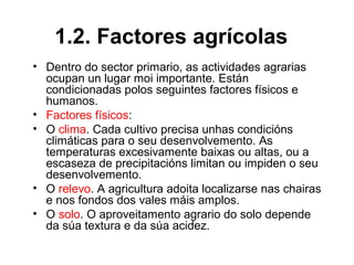 1.2. Factores agrícolas
• Dentro do sector primario, as actividades agrarias
ocupan un lugar moi importante. Están
condicionadas polos seguintes factores físicos e
humanos.
• Factores físicos:
• O clima. Cada cultivo precisa unhas condicións
climáticas para o seu desenvolvemento. As
temperaturas excesivamente baixas ou altas, ou a
escaseza de precipitacións limitan ou impiden o seu
desenvolvemento.
• O relevo. A agricultura adoita localizarse nas chairas
e nos fondos dos vales máis amplos.
• O solo. O aproveitamento agrario do solo depende
da súa textura e da súa acidez.
 
