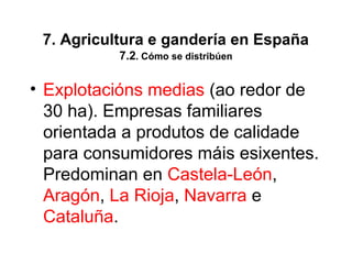 7. Agricultura e gandería en España
7.2. Cómo se distribúen
• Explotacións medias (ao redor de
30 ha). Empresas familiares
orientada a produtos de calidade
para consumidores máis esixentes.
Predominan en Castela-León,
Aragón, La Rioja, Navarra e
Cataluña.
 