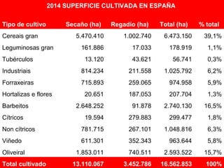 2014 SUPERFICIE CULTIVADA EN ESPAÑA
Tipo de cultivo Secaño (ha) Regadío (ha) Total (ha) % total
Cereais gran 5.470.410 1.002.740 6.473.150 39,1%
Leguminosas gran 161.886 17.033 178.919 1,1%
Tubérculos 13.120 43.621 56.741 0,3%
Industriais 814.234 211.558 1.025.792 6,2%
Forraxeiras 715.893 259.065 974.958 5,9%
Hortalizas e flores 20.651 187.053 207.704 1,3%
Barbeitos 2.648.252 91.878 2.740.130 16,5%
Cítricos 19.594 279.883 299.477 1,8%
Non cítricos 781.715 267.101 1.048.816 6,3%
Viñedo 611.301 352.343 963.644 5,8%
Oliveiral 1.853.011 740.511 2.593.522 15,7%
Total cultivado 13.110.067 3.452.786 16.562.853 100%
 