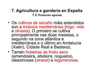 7. Agricultura e gandería en España
7.3. Produción agrícola
• Os cultivos de secaño máis extendidos
son a trioloxía mediterránea (trigo, vide
e oliveira). O primeiro se cultiva
principalmente nas dúas mesetas, o
segundo na zona atlántica e
mediterránea e o último en Andalucía
(Xaén), Cidade Real e Badaxoz.
• Tamén froiteiras de froito seco
(amendoeira, abeleira, nogueira),
oleaxinosas (xirasol) e leguminosas.
 