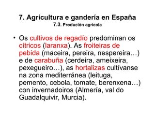 7. Agricultura e gandería en España
7.3. Produción agrícola
• Os cultivos de regadío predominan os
cítricos (laranxa). As froiteiras de
pebida (maceira, pereira, nespereira…)
e de carabuña (cerdeira, ameixeira,
pexegueiro…), as hortalizas cultívanse
na zona mediterránea (leituga,
pemento, cebola, tomate, berenxena…)
con invernadoiros (Almería, val do
Guadalquivir, Murcia).
 