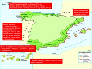 Rexión Noroeste
1ª rexión pesqueira
O porto de Vigo (Berbés)
1º de España. Ten
base gran parte da flota
Conxeladora e bacallaeira
Ao seu arredor sitúanse
Asteleiros, conserveiras
e distribuidores
Rexión Cantábrica do Eo ao Bidasoa. 2ª rexión
Pasaia, Ondarroa, Bermeo, San Sebastián e Gijón
Importante o atún e anchoa. Faenan en augas comunitarias
Rexión Suratlántica: Ayamonte-Linea Concepción
Cádiz, Huelva e Alxeciras. Langostinos e gambas.
Costa africana.
Canarias; Palmas e Arrecife. Pesca de altura
Banco Sahariano.
Rexión Mediterránea
Portos pouco activos.
Pesca de baixura.
 