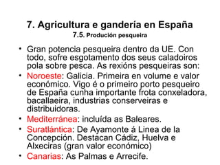 7. Agricultura e gandería en España
7.5. Produción pesqueira
• Gran potencia pesqueira dentro da UE. Con
todo, sofre esgotamento dos seus caladoiros
pola sobre pesca. As rexións pesqueiras son:
• Noroeste: Galicia. Primeira en volume e valor
económico. Vigo é o primeiro porto pesqueiro
de España cunha importante frota conxeladora,
bacallaeira, industrias conserveiras e
distribuidoras.
• Mediterránea: incluída as Baleares.
• Suratlántica: De Ayamonte á Linea de la
Concepción. Destacan Cádiz, Huelva e
Alxeciras (gran valor económico)
• Canarias: As Palmas e Arrecife.
 